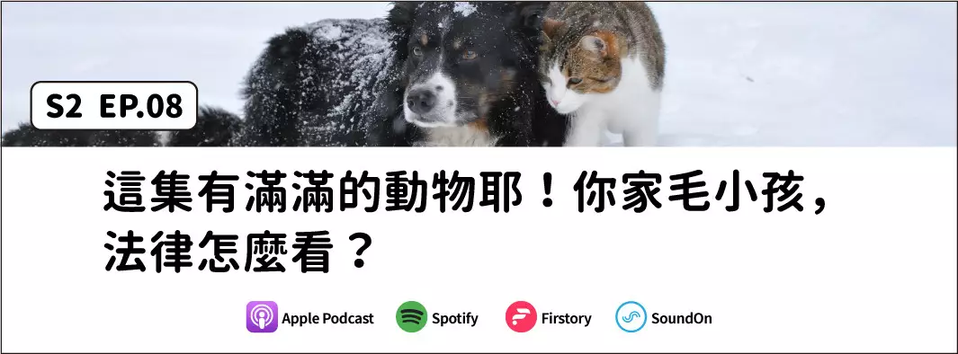 這集有滿滿的動物耶！你家毛小孩，法律怎麼看？的主圖